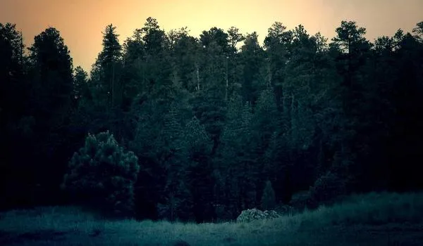 使用 Conda 和 uv 实现灵活的 Python 环境管理