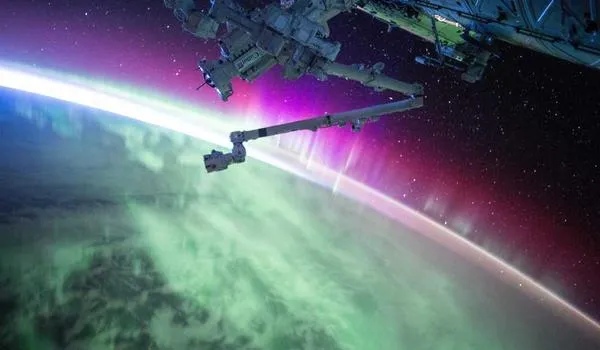 2024 年工作总结